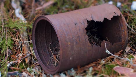 an old can of food in the woods