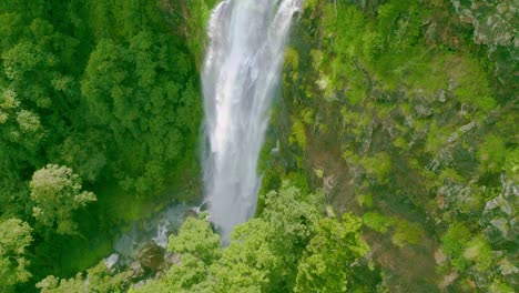 roaring waterfall plunges into a ravine surrounded by a verdant rainforest