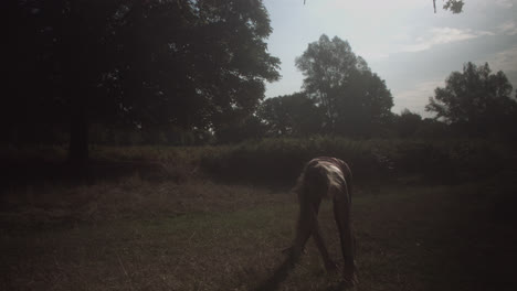 A-girl-is-seen-stretching-or-warming-up-before-the-exercise-in-the-park-on-a-sunny-day