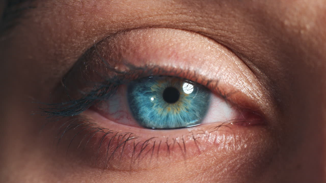 primer plano del ojo azul de una mujer