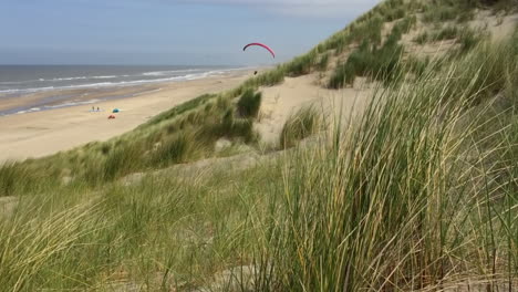 a singe paraglider with a red wing is leisurely soaring over the dunes at a north sea beach