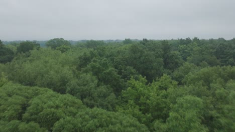 forward drone shot capturing evaporation over a dense green forest during daytime.