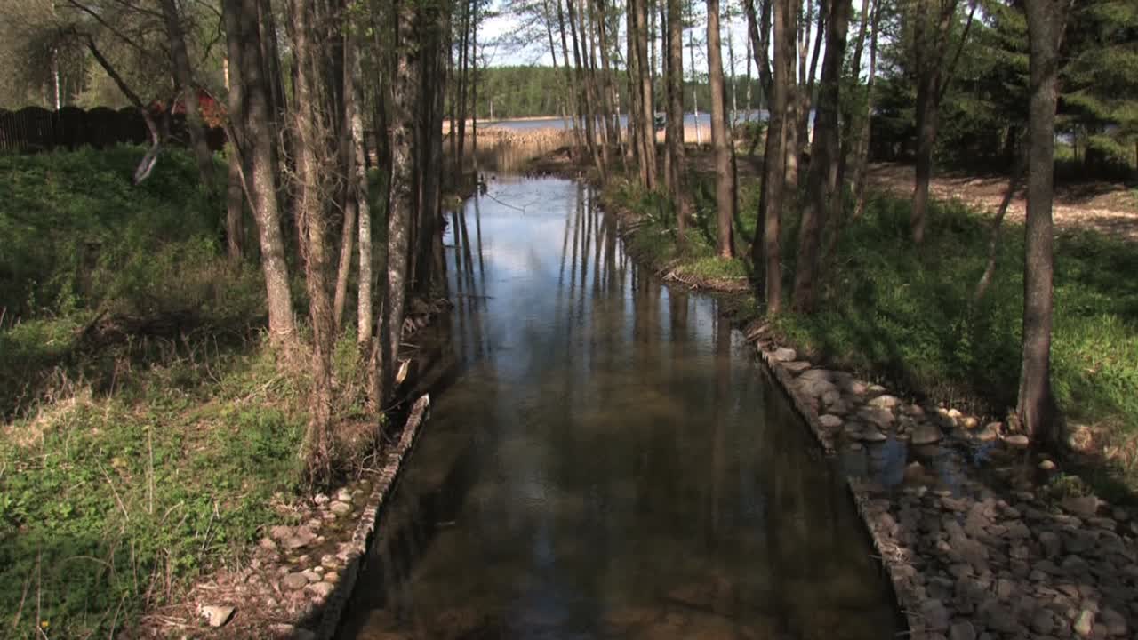 el río del bosque desemboca en el lago