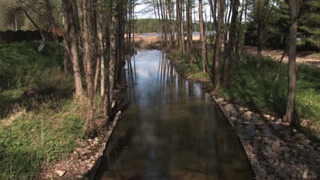 El-Río-Del-Bosque-Desemboca-En-El-Lago