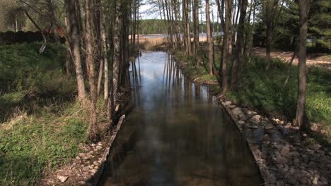 el río del bosque desemboca en el lago