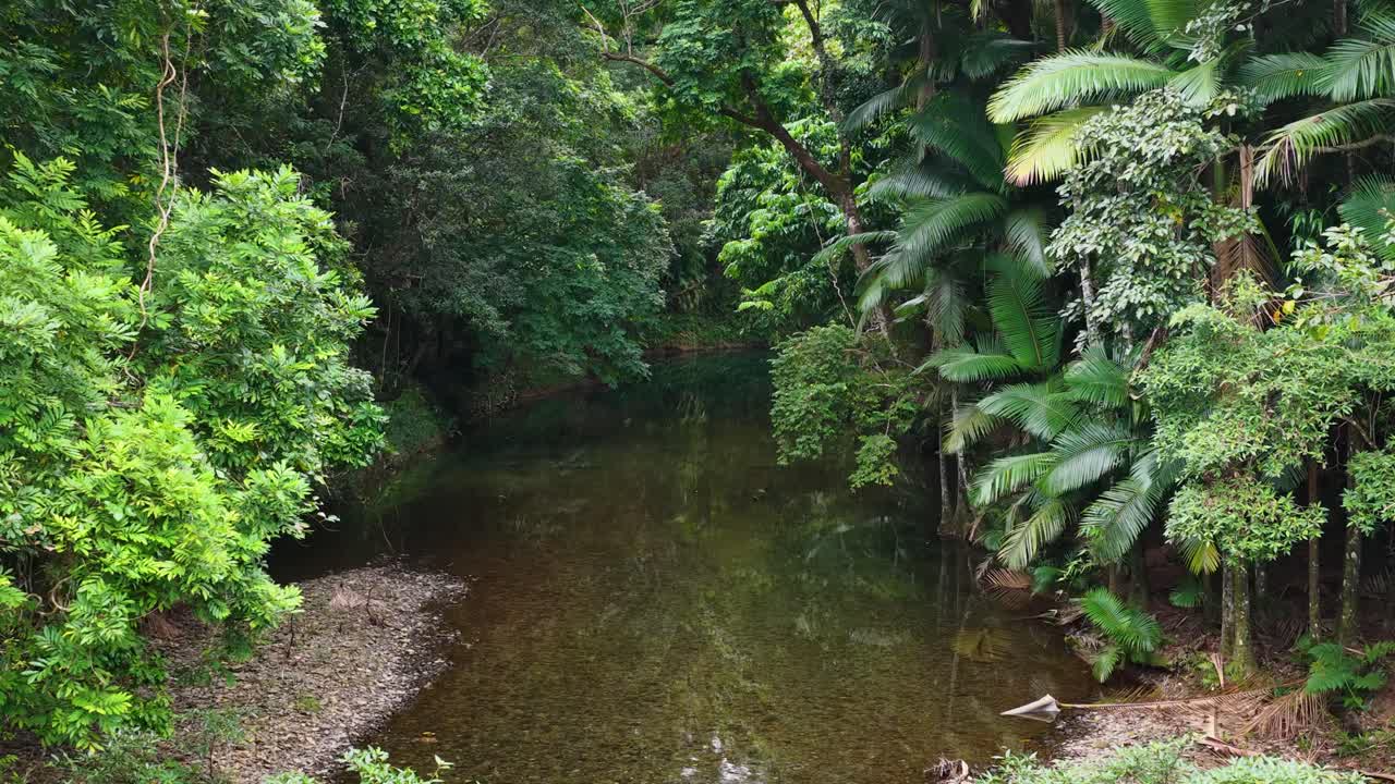 Drone footage captures a tranquil creek winding through dense rainforest in Port Douglas, Australia, with vibrant greenery and calm waters