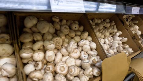 varios hongos en la sección de productos del supermercado
