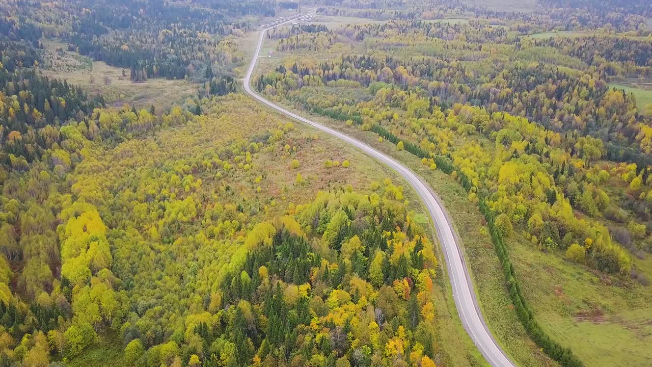 camino sinuoso de otoño a través del bosque
