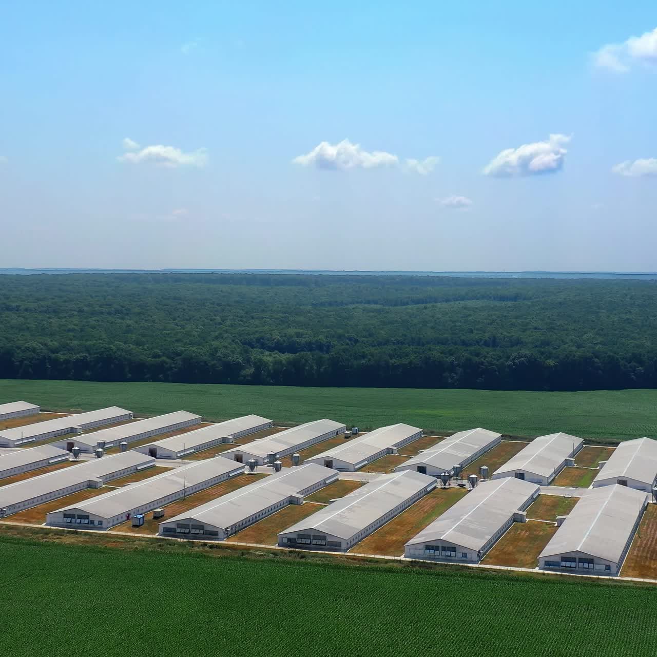 Establishing shot, aerial of family farm with grain bins, chicken house, barn and fields in summer hazy foggy light morning. Farming concept