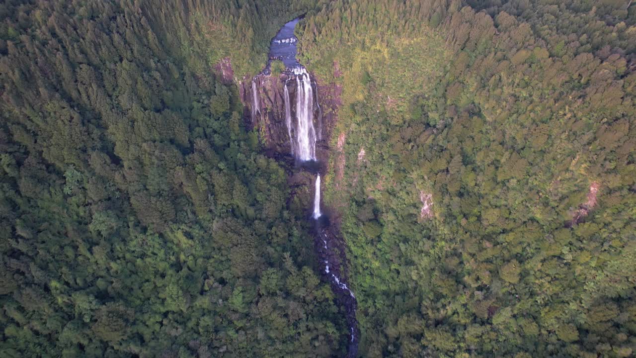 vista aérea de una majestuosa cascada en un bosque exuberante