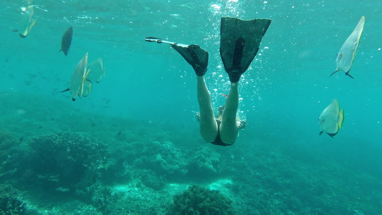 haciendo amigos en el camino