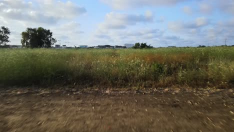 Un-Dron-Vuela-A-Lo-Largo-De-Un-Camino-Que-Deja-La-Línea-De-árboles-Que-Se-Abre-A-Un-Gran-Campo-De-Pastizales