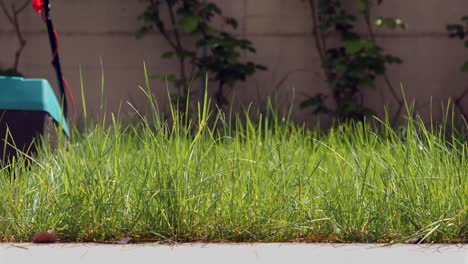 Man-Cutting-the-Grass-in-his-Backyard-with-an-Electric-Lawnmower---slow-motion