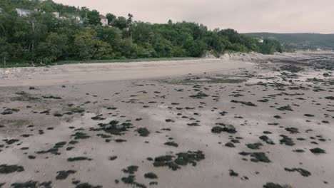 4k, flying over rocks and trees by the sea shore - drone