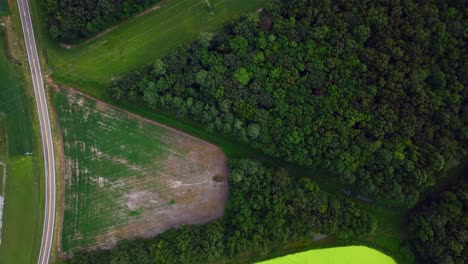 una vista aérea de arriba hacia abajo sobre campos verdes, árboles y un estanque en un día nublado en delaware