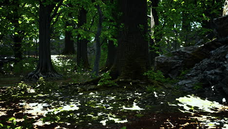 roots of an old tree overgrown with moss