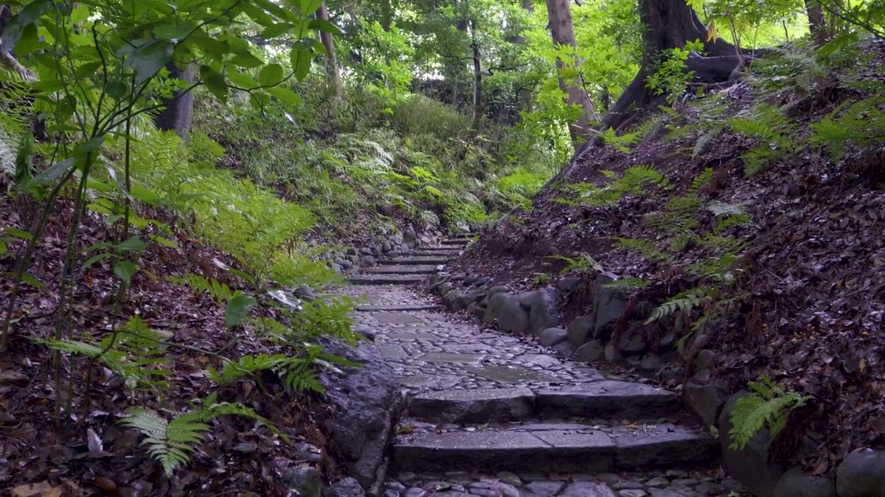 Slow sideways slider over stone path at Japanese temple in summer
