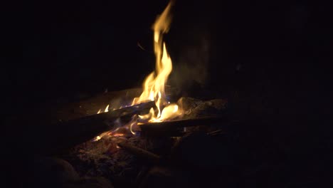 4k footage bonfire burning trees at night.