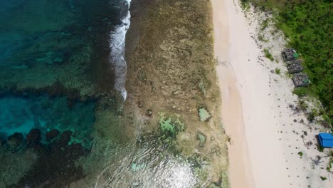 4k drone video of the beach near the magpupungko rock pools on siargao island in the philippines