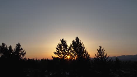 aerial shot weaving through silhouetted trees with a warm sunrise in the distance