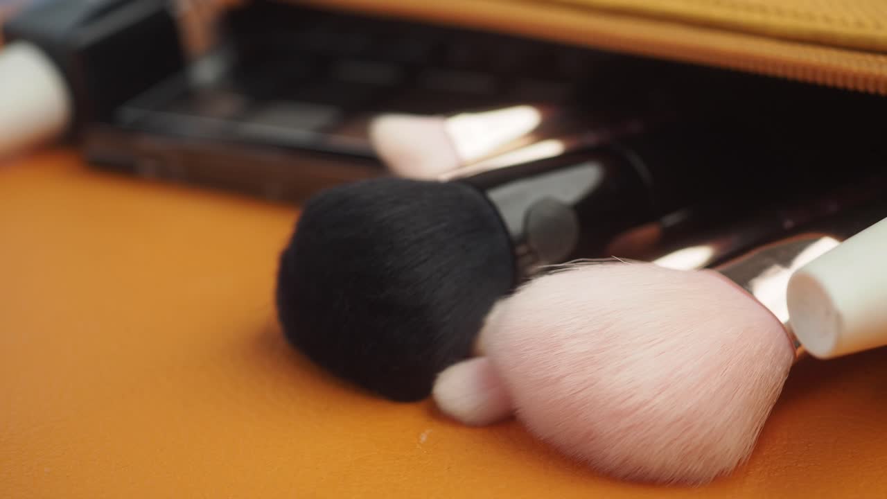 Makeup Brushes in a Makeup Bag