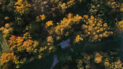 Bosque-Con-Niebla-A-La-Hora-Dorada-De-La-Mañana,-Vista-Cenital-Del-Pájaro-Drone-Aéreo,-Colina-Y-Montaña-En-El-Fondo,-Toscana,-Italia,-Europa