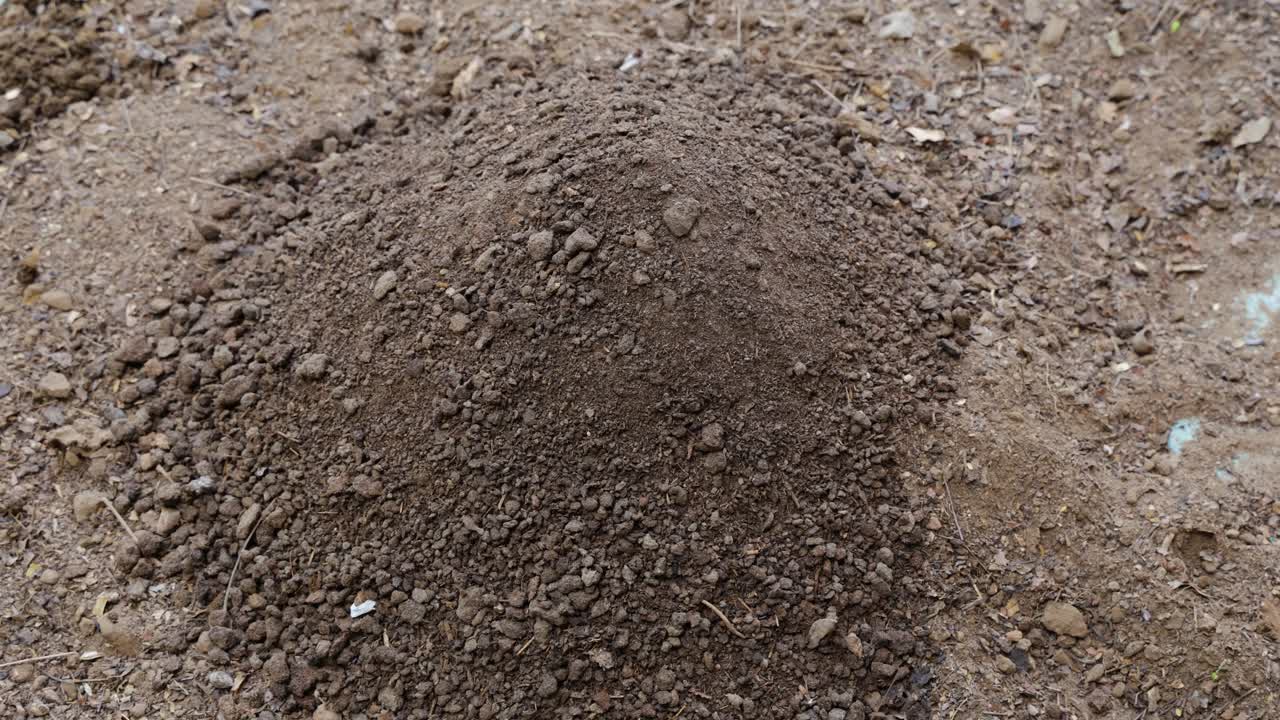 natural soil enhancement using vermi compost with garden soil at outdoor