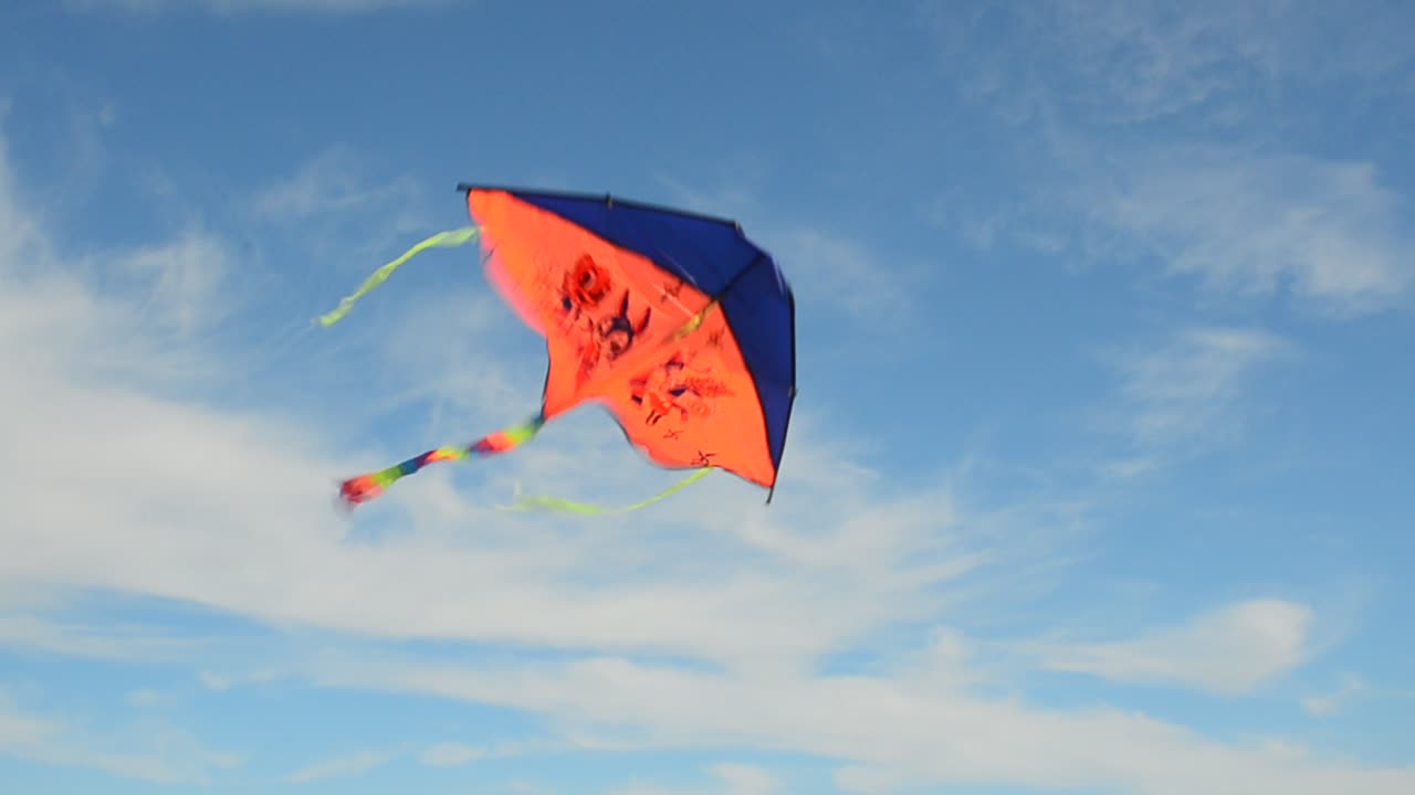 Cometa en el cielo. Verano en la orilla del mar