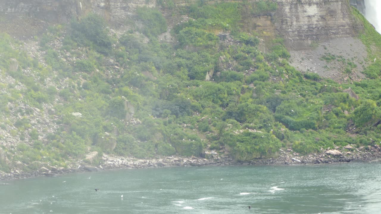 새들이 강력한 폭포에서 물안개를 뚫고 날아가고 있다