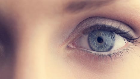 close up of female grey eye against white background