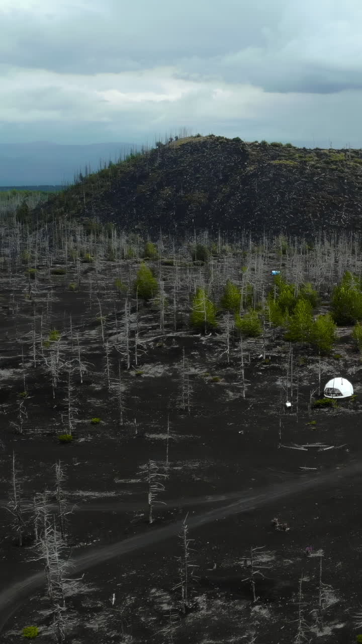 Vista aerea di cupole di glamping tra alberi in crescita e morti in un paesaggio vulcanico