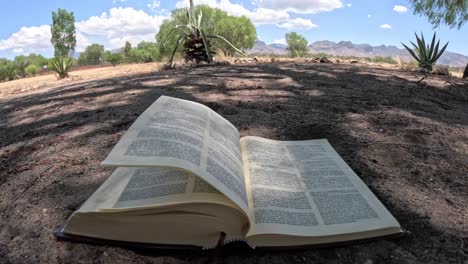 mi biblia es la presencia de dios en la tierra
