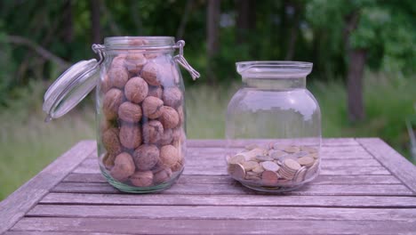 nueces de comparación medianas y monedas de euro en vasos con una hermosa pradera en el fondo