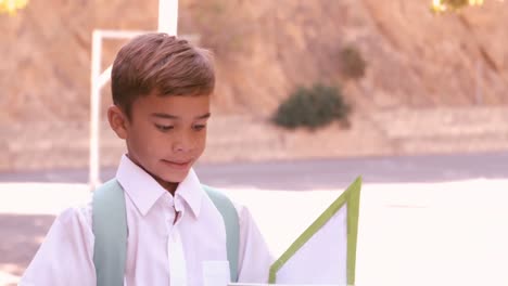 attentive schoolboy reading book