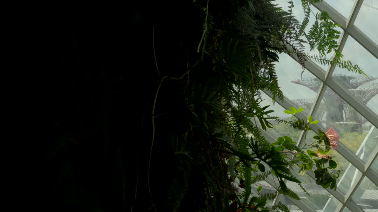 supertree grove revela una vista panorámica desde los jardines junto a la bahía bosque nuboso panorámica de la ventana