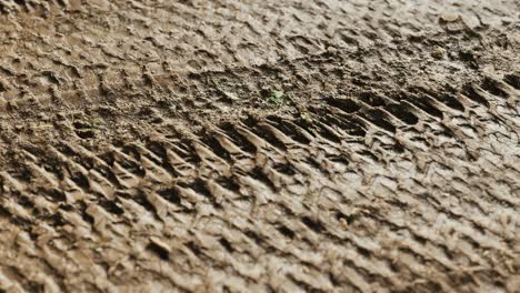 wheel-tracks-on-rough-road