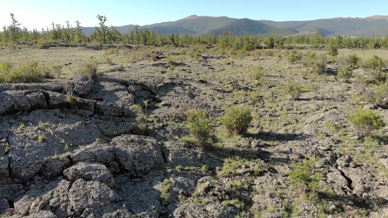 Vista aerea di un campo di lava vulcanica con vegetazione rada