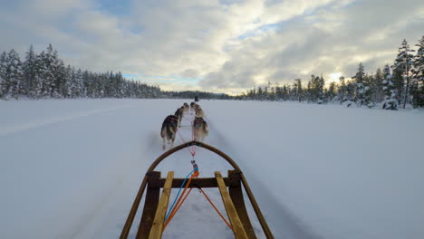 Husky-dog-sled-team-running-through-snowy-woodland-Lapland-wilderness,-Point-of-view