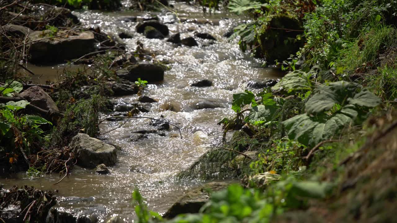 Static view of serene stream of water flowing through rocky and mossy riverbed