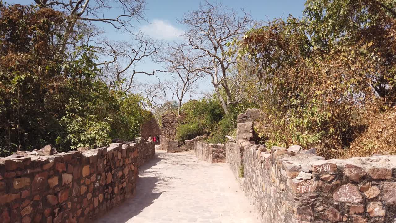 ranthambore national park, rajasthan, india에 있는 고대 ranthambore 요새의 통로를 통해 추적 샷