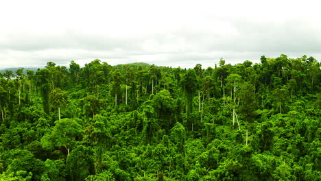 La-Naturaleza-Hace-Un-Buen-Trabajo-Al-Ser-Increíble