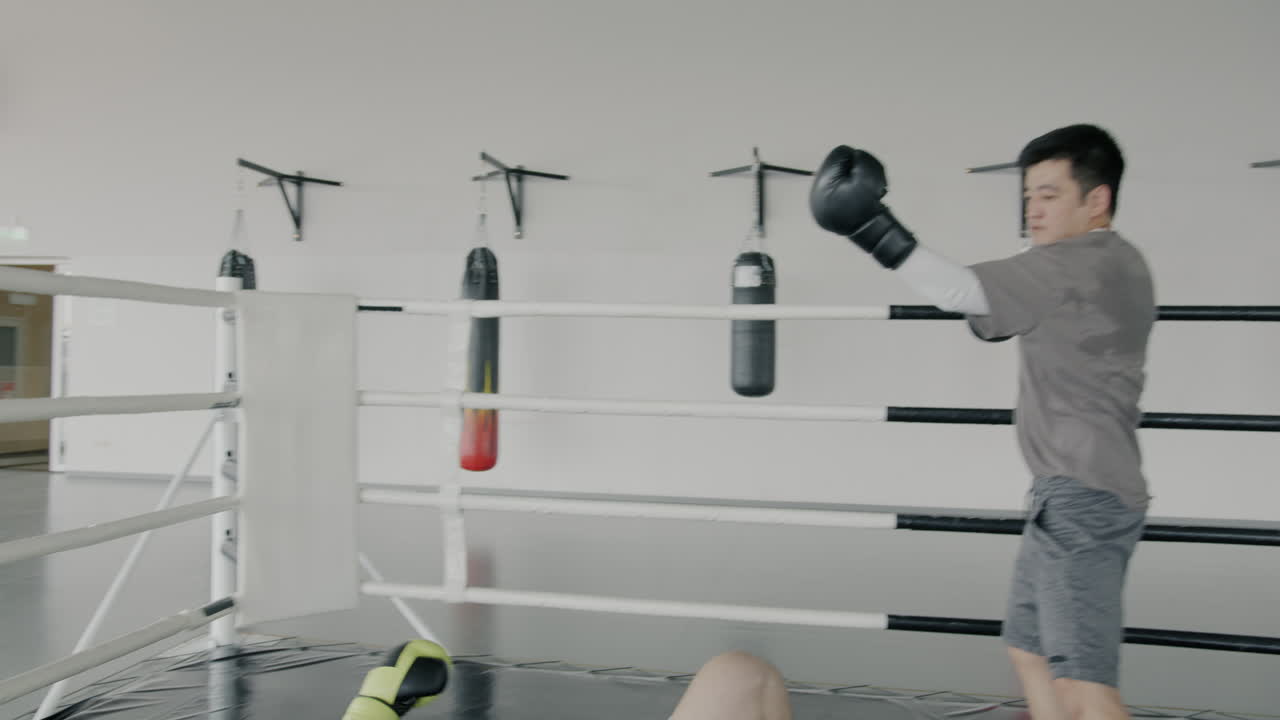 권투 훈련 세션