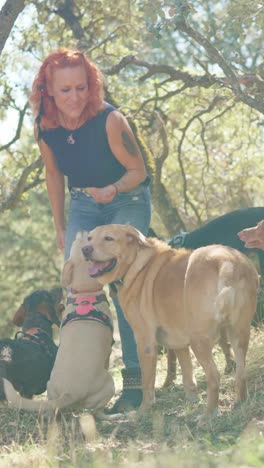 a woman with her dogs in a sunny forest