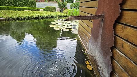 a pond with a fountain in the middle