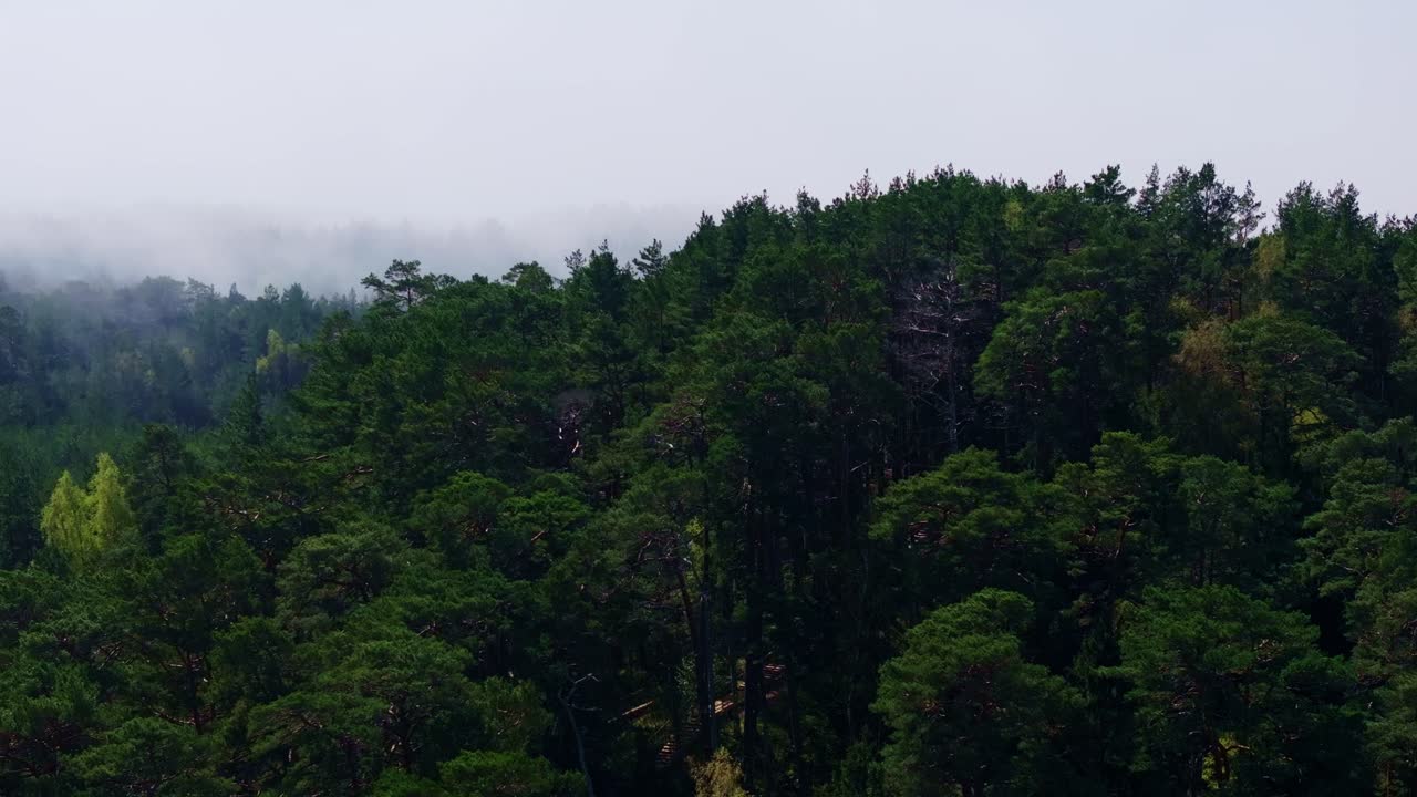Clip video cinematografica che cattura la nebbia marina che avvolge le dune forestali a Capo Pusenu, Lettonia