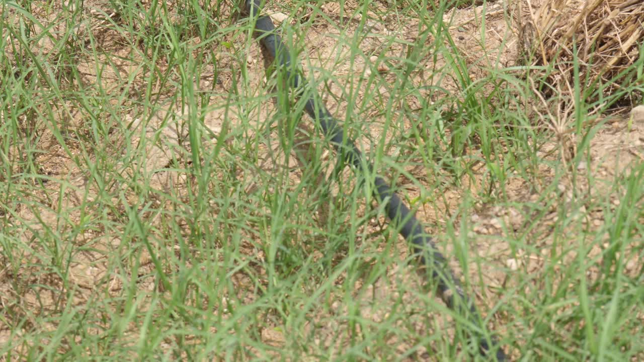 물방울 관개 시스템을 닫습니다