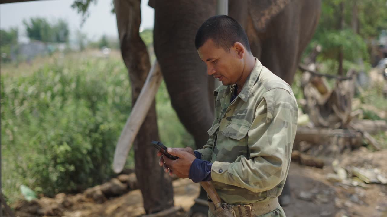 Man using phone near an elephant