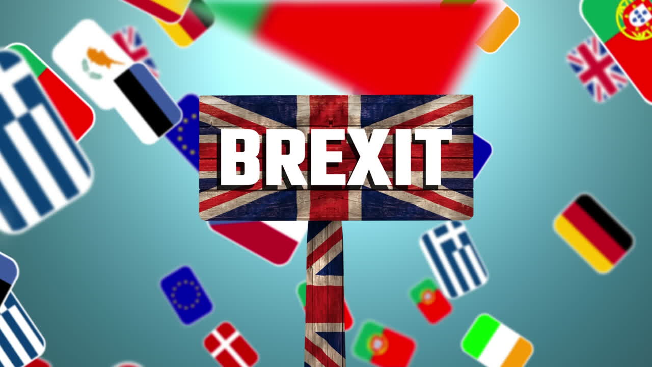 다국적  ⁇ 발 비디오