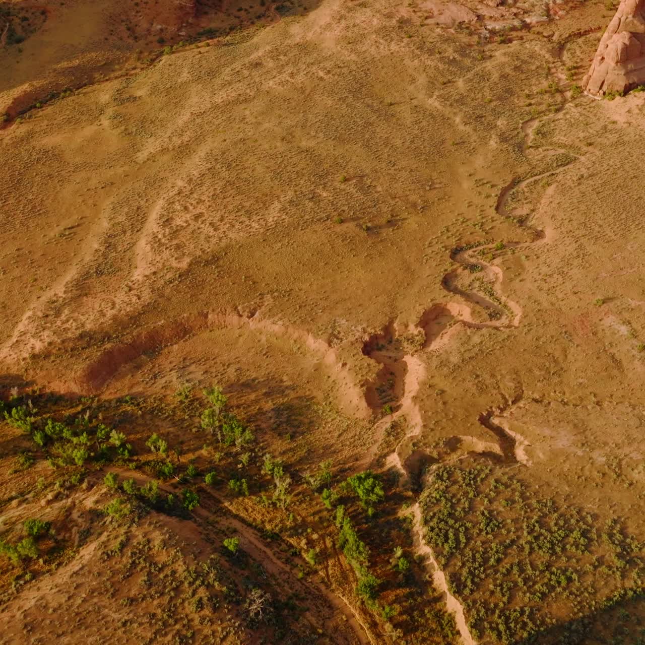 Little greenery growing in the desert landscape. Drone footage over beautiful canyons of Utah, USA