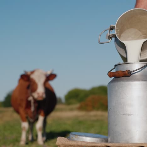 Bauer-Gießt-Milch-In-Eine-Dose-Mit-Einer-Kuh-Im-Hintergrund